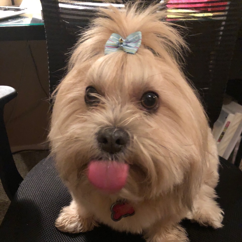 Meet your Posher, Grace